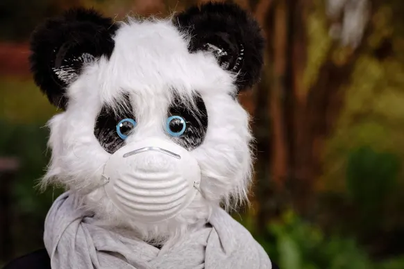 Oppa88888888 Kasyno Wsparcie